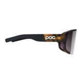 POC Aspire