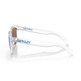 Oakley Frogskins