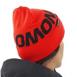 Salomon Hermitage Beanie