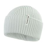 Salomon Snowbird Beanie