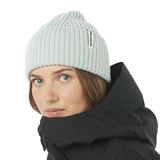 Salomon Snowbird Beanie