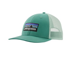Patagonia P-6 Logo LoPro Trucker Hat