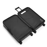 Db Ramverk Check-In Luggage