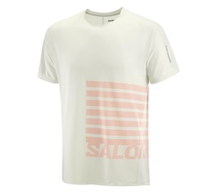 Salomon Sense Aero Short Sleeve Tee GFX Herr