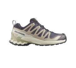 Salomon XA Pro 3D V9 Gore-Tex 9 Dam
