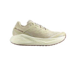 Salomon Aero Glide 3 Grvl Herr