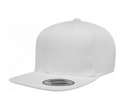 FLEXFIT/YUPOONG Classic Snapback