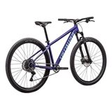 Specialized Rockhopper Comp 29