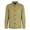 Bleached Olive