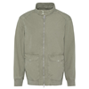 Bleached Olive