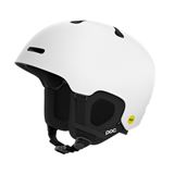 POC Fornix MIPS