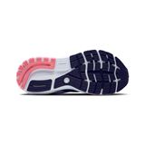 Brooks Ghost 16 Dam