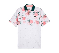 Puma Mattr Freshly Picked Polo LC Herr