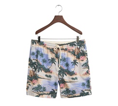 GANT Regular Printed DS Shorts Herr