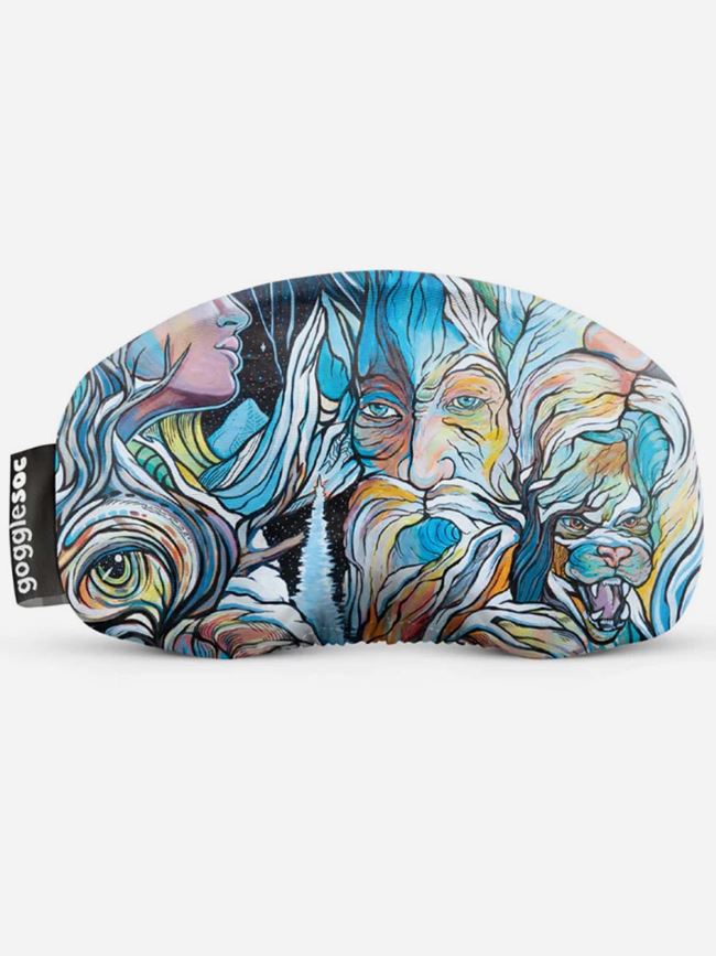 GoggleSoc Interconnection