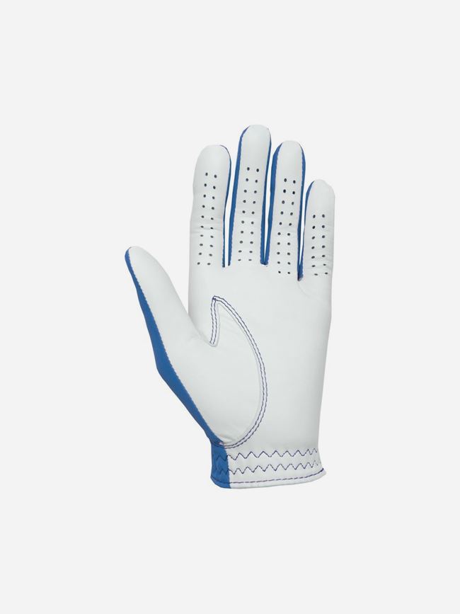 FootJoy Spectrum Blue Left Dam