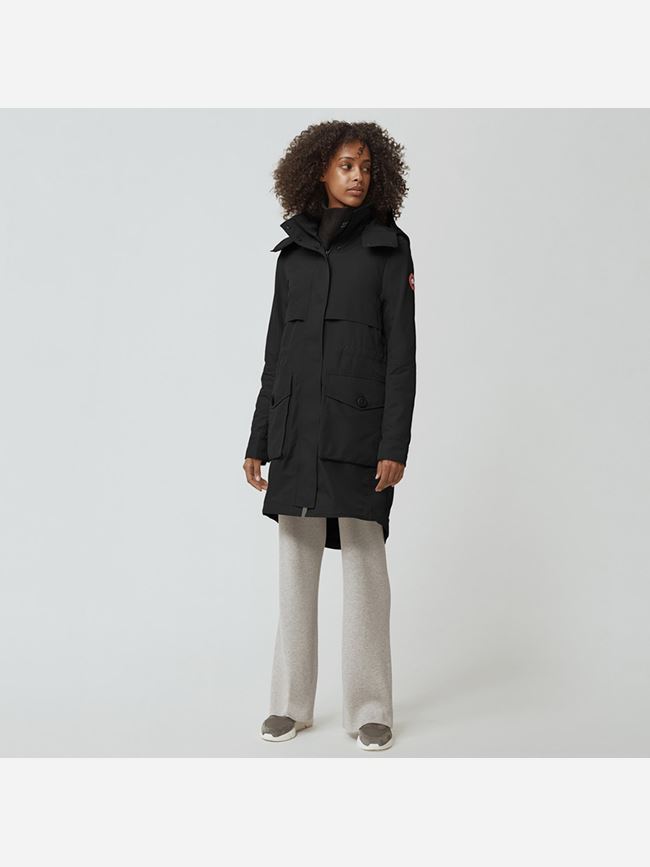 Canada Goose Calvary Trench Dam