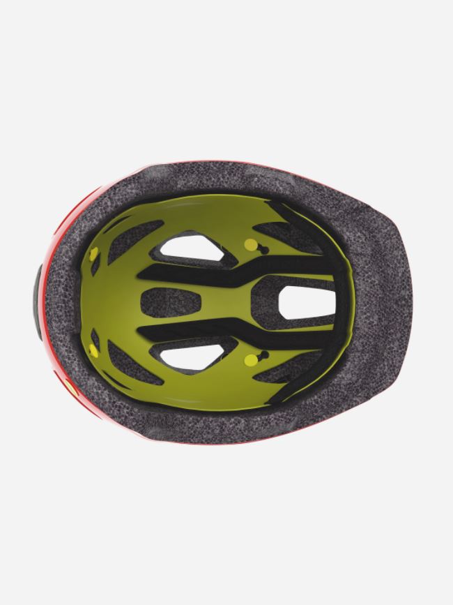 Scott Spunto Junior Plus