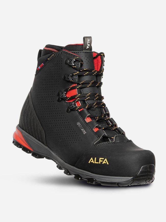 Alfa Holt GTX Dam