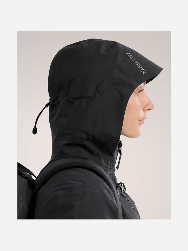 Arc'teryx Beta Down Parka Dam