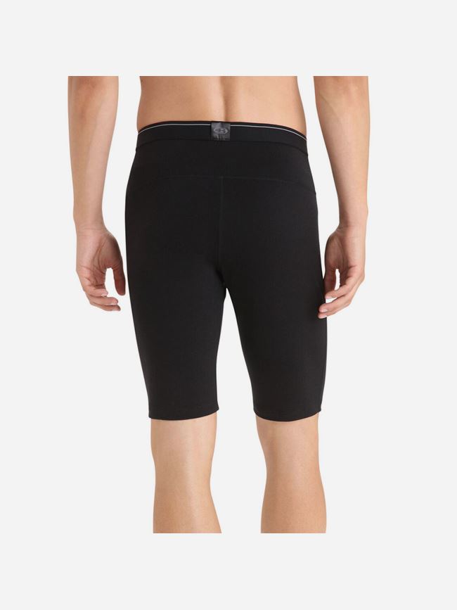 Icebreaker Oasis Thermic Shorts Herr