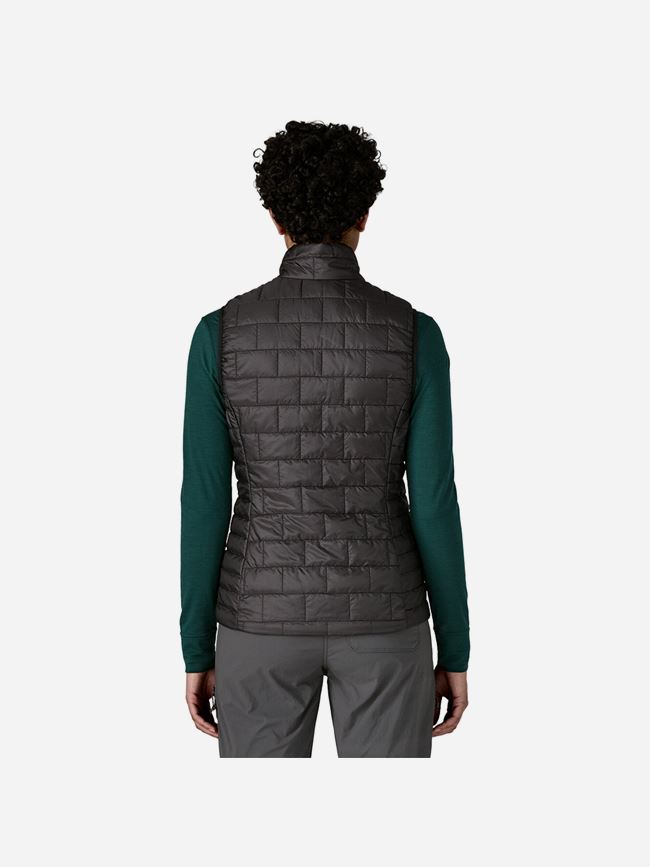 Patagonia Nano Puff Vest Dam