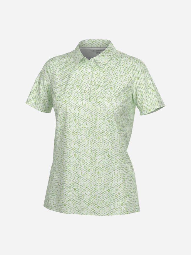 Galvin Green Maud Dam