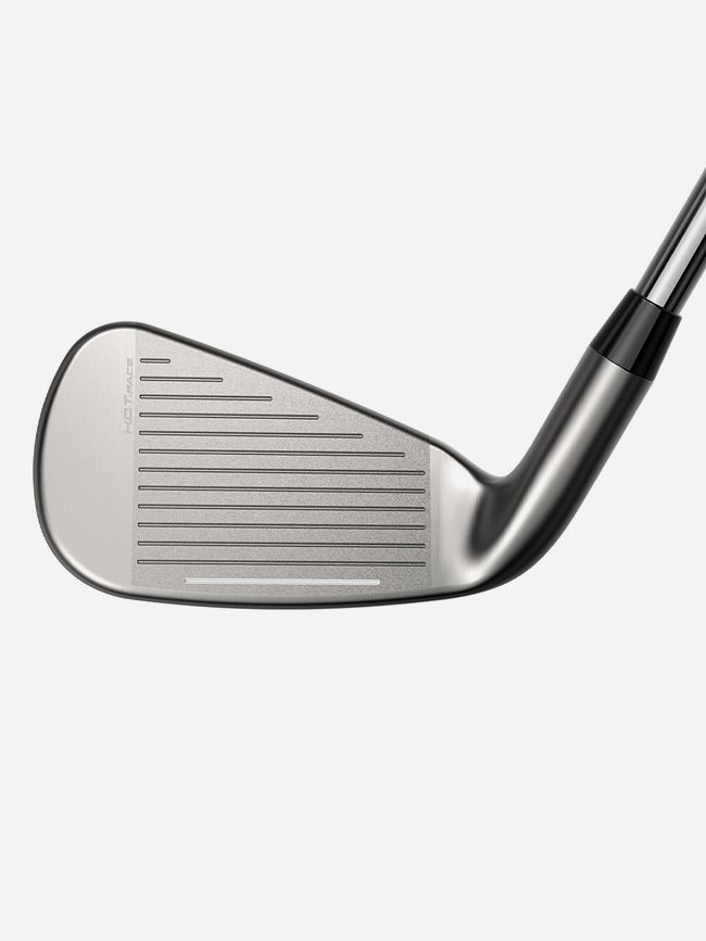 Cobra DS-Adapt Iron Set