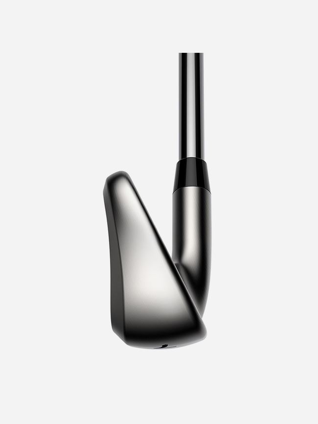 Cobra DS-Adapt Iron Set