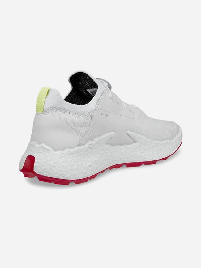 ECCO Golf BIOM H5 BOA Dam