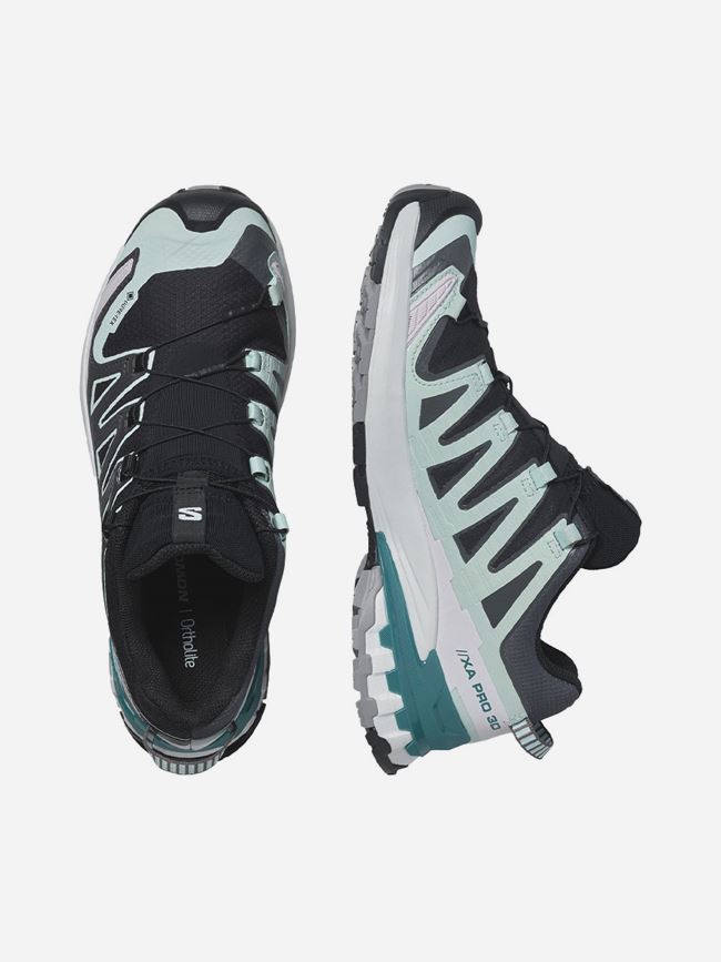 Salomon XA Pro 3D V9 GTX Dam