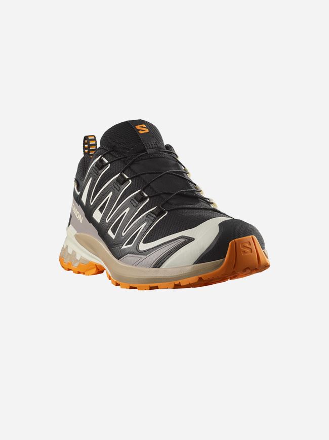 Salomon XA Pro 3D V9 GTX Herr
