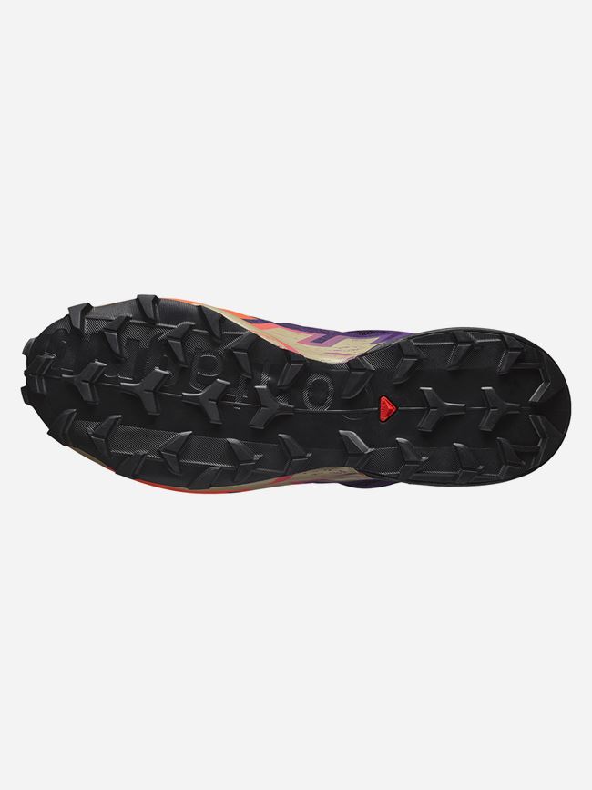 Salomon Speedcross 6 Gore-Tex Herr