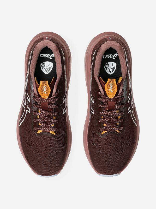 Asics GT-2000 14 Trail Dam