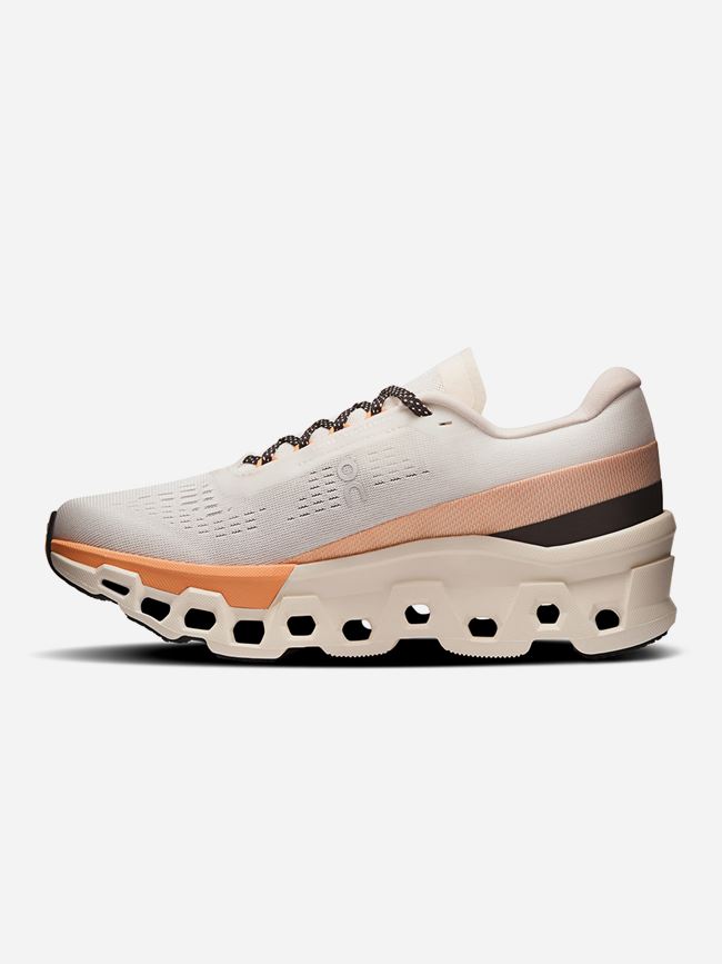 ON Cloudmonster 2 Dam