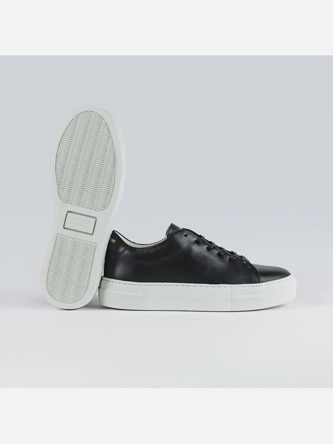 Sneaky Steve Moore Dam