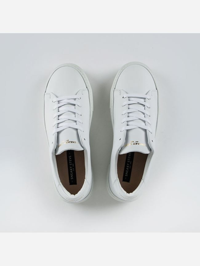 Sneaky Steve Moore Dam