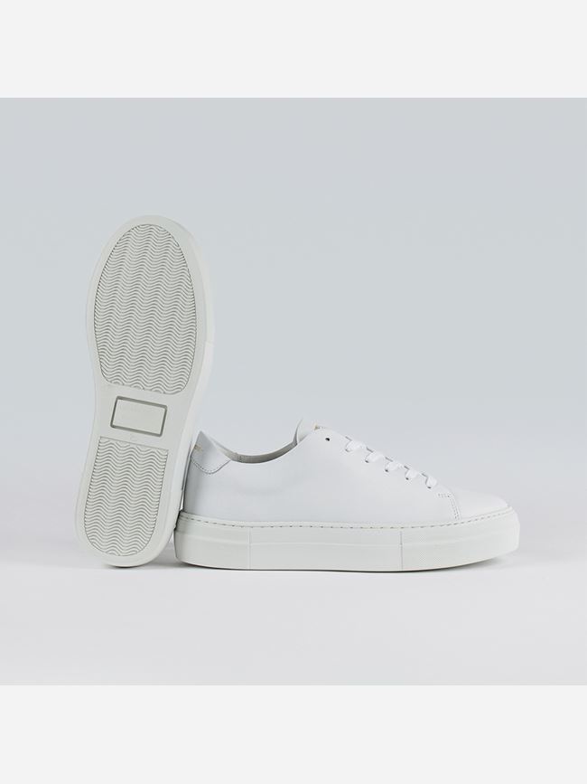 Sneaky Steve Moore Dam