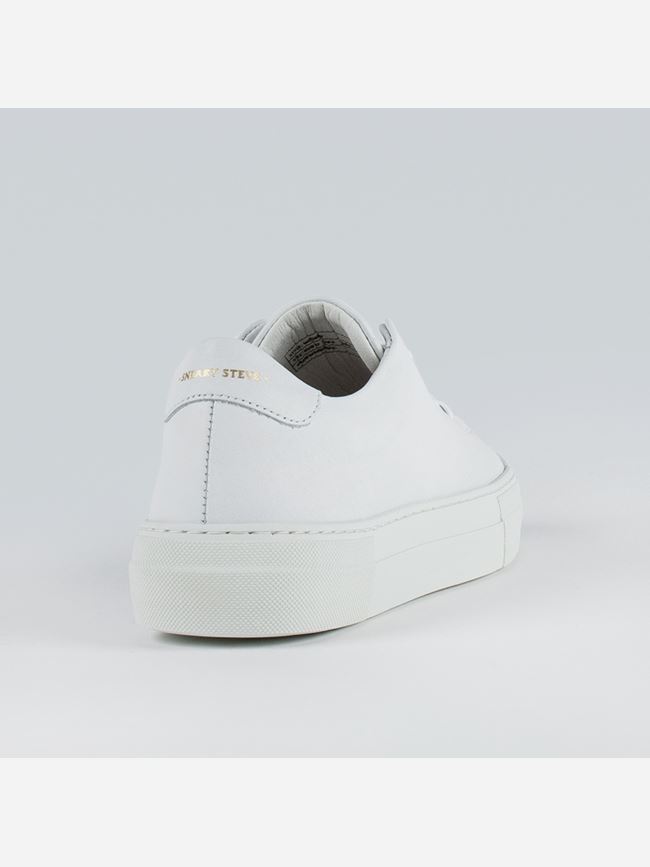 Sneaky Steve Moore Dam