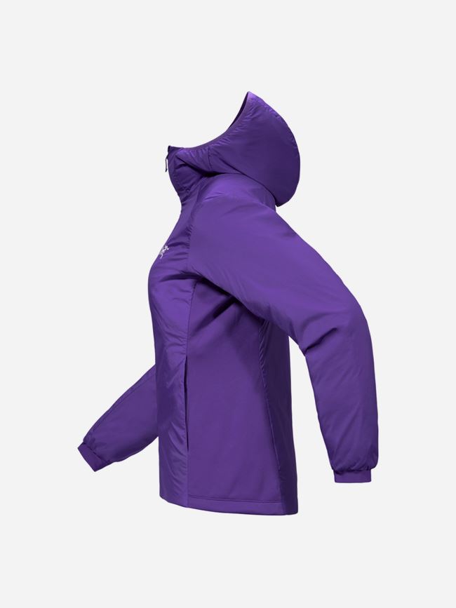 Arc'teryx Atom Hoody dam