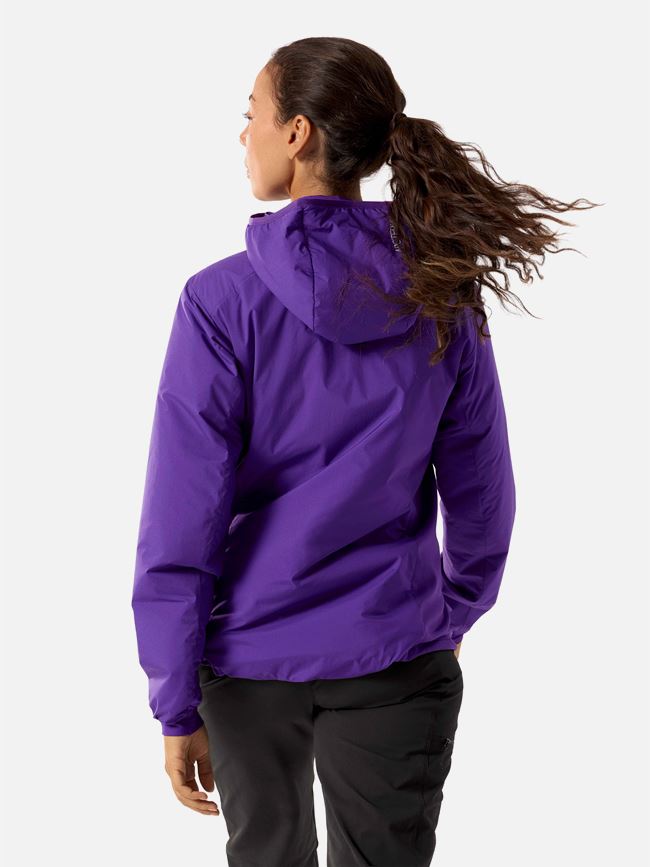 Arc'teryx Atom Hoody dam