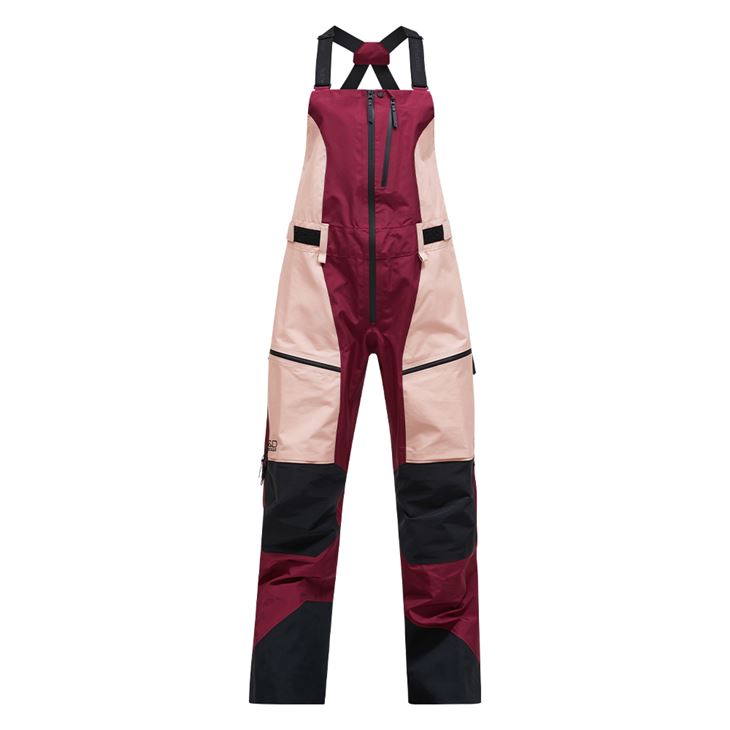 Peak Performance Vertical Gore-Tex Pro dam