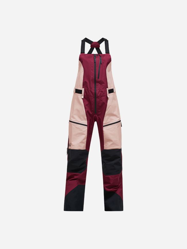 Peak Performance Vertical Gore-Tex Pro dam