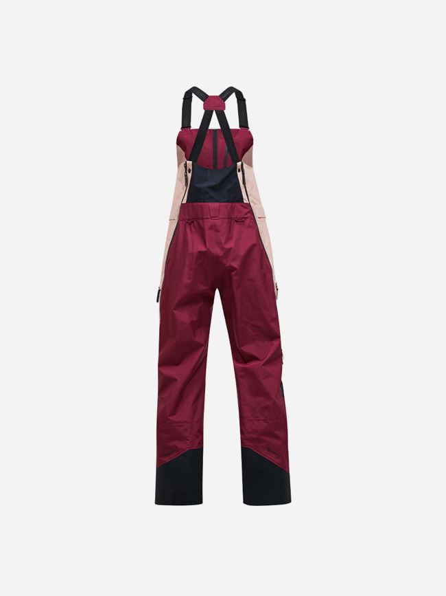 Peak Performance Vertical Gore-Tex Pro dam