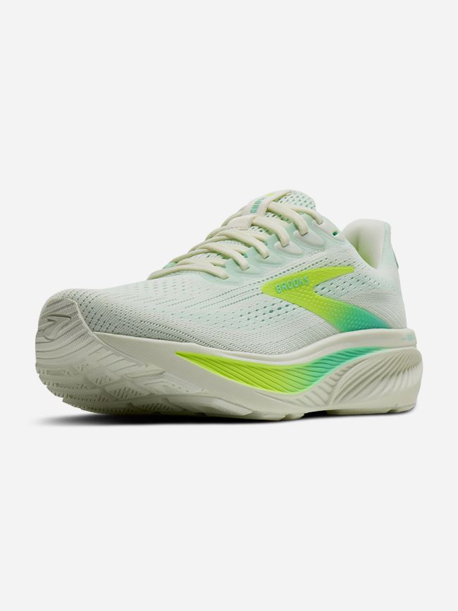 Brooks Ghost 17 Dam