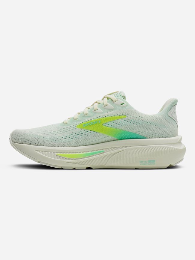 Brooks Ghost 17 Dam