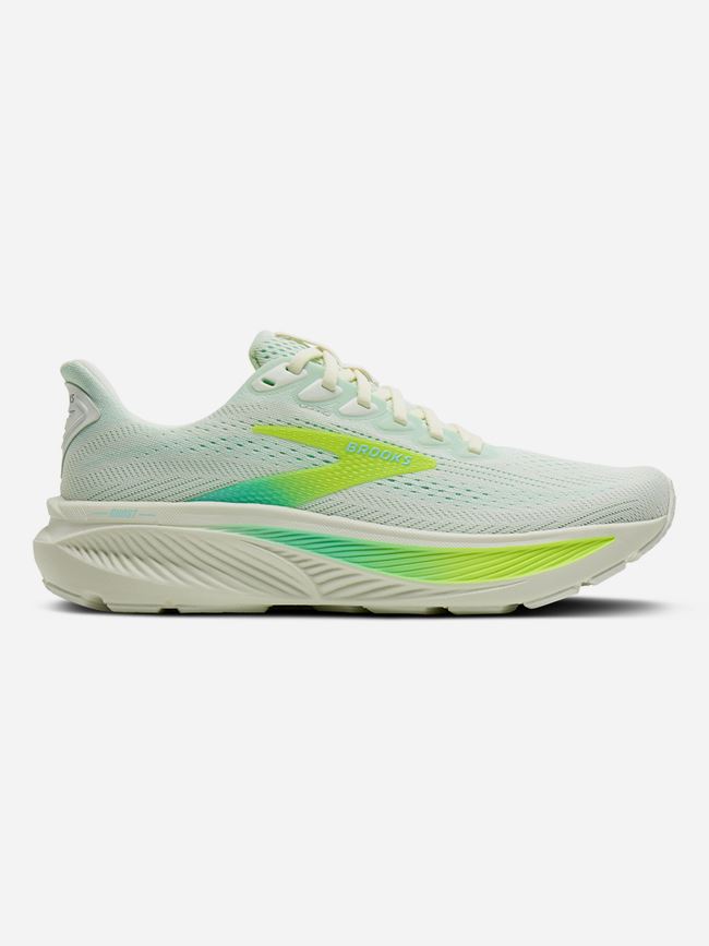 Brooks Ghost 17 Dam