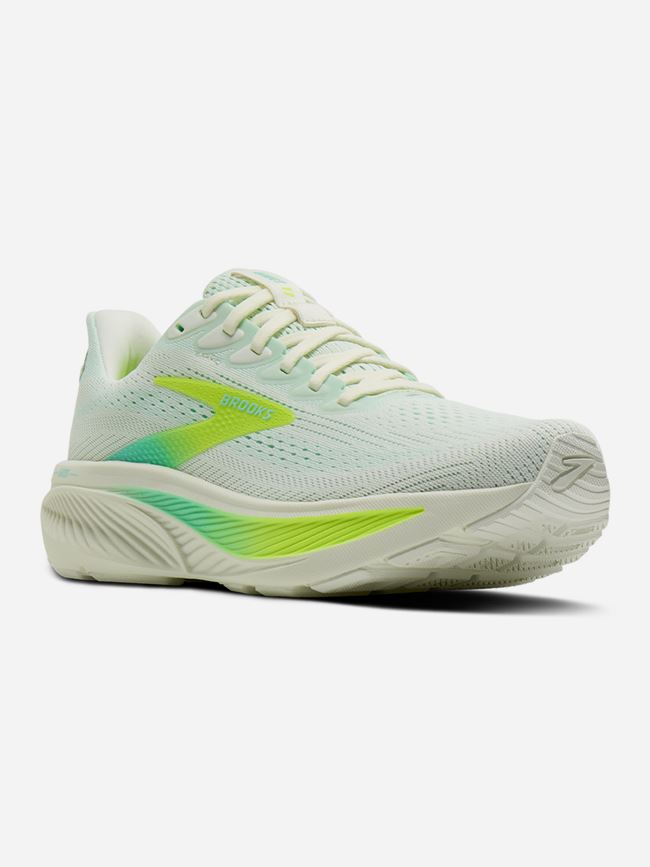 Brooks Ghost 17 Dam