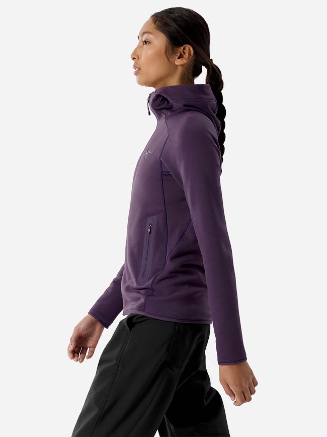 Arc'teryx Kyanite Hoody dam