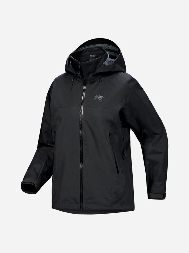 Arc'teryx Beta AR Jacket dam